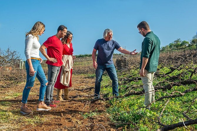 Tenerife Bodegas Monje Winery Tour with Wine and Cheese Tasting - English tour timing: Saturday and Sunday at 11am and 5pm
