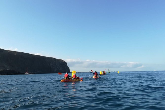 Tenerife by Kayak Adventure in small group - Key things to know before you go