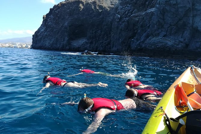 Tenerife by Kayak Adventure in small group - Dolphins, Turtles, and Wild Behavior: What Your Guide Tries to Deliver