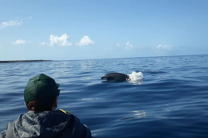 Tenerife by Kayak Adventure in small group - Safety and Fitness: The Rules That Keep This Fun