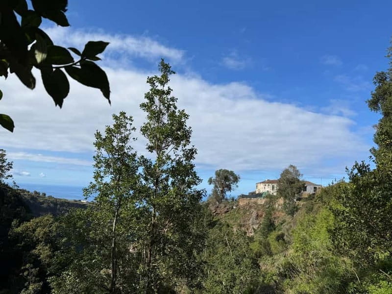 Tenerife: Canary History and Color Potatoes - Walking the Historic Camino Real at a human pace