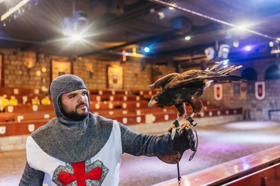 Tenerife: Castillo San Miguel Medieval Show with Dinner - Key Things I’d Notice First