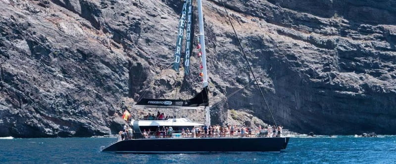 Tenerife: Catamaran Cruise with an Open Bar - Key Things I’d Pay Attention To