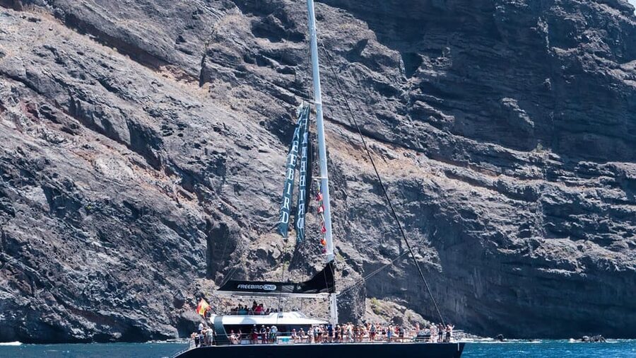 Tenerife: Catamaran Cruise with an Open Bar - Cruising the Western Coast: The Views and the Wildlife Moment
