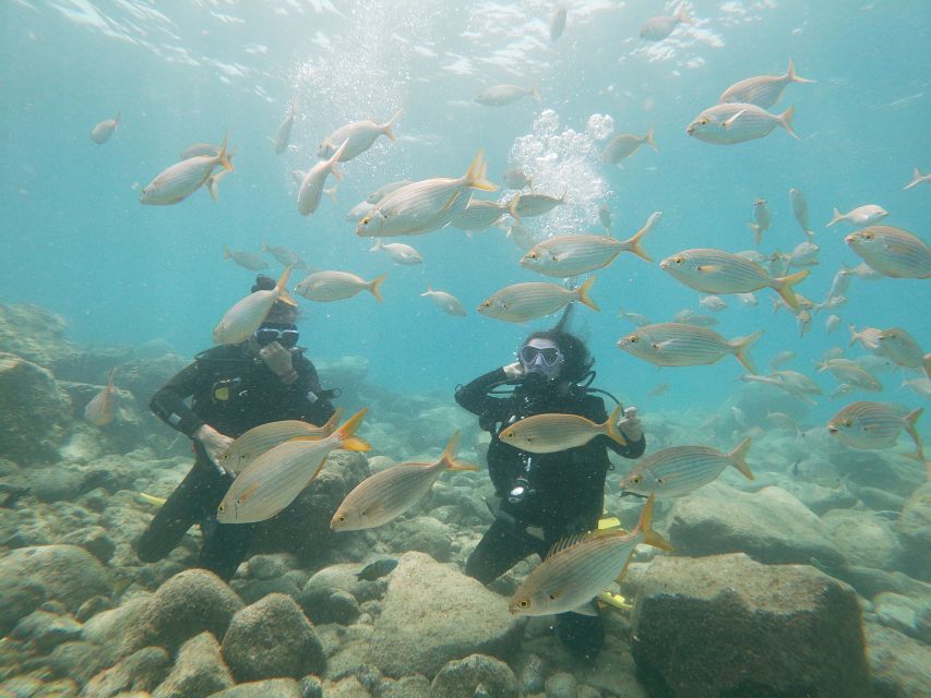 Tenerife: Costa Adeje Private Diving Lesson Experience - Key things to know before you go