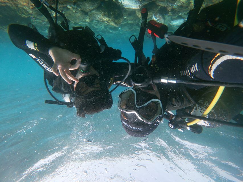 Tenerife: Costa Adeje Private Diving Lesson Experience - Quick guide: getting the most out of your underwater session