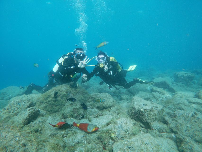 Tenerife: Costa Adeje Private Diving Lesson Experience - Your 2.5 hours: the flow from gear checks to an underwater session