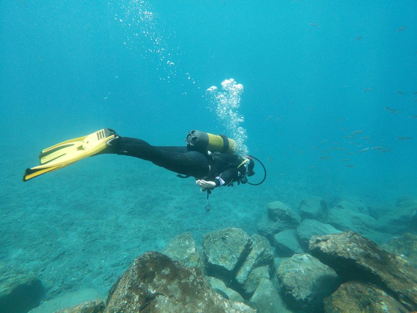Tenerife: Costa Adeje Private Diving Lesson Experience - Where you meet and what to bring for a smooth start