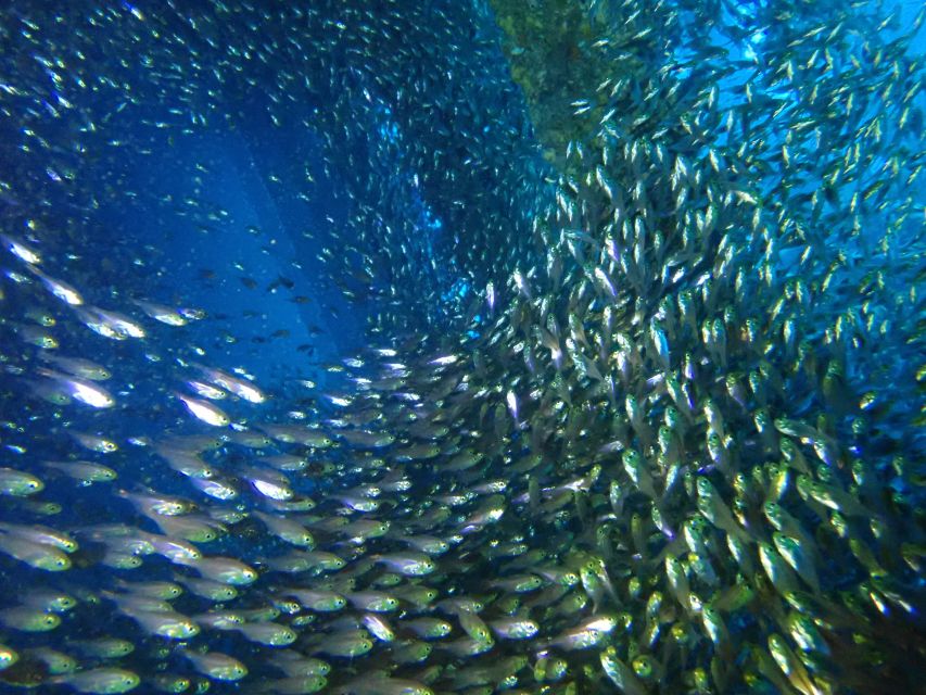 Tenerife: Costa Adeje Private Diving Lesson Experience - Who should book this scuba lesson in Tenerife