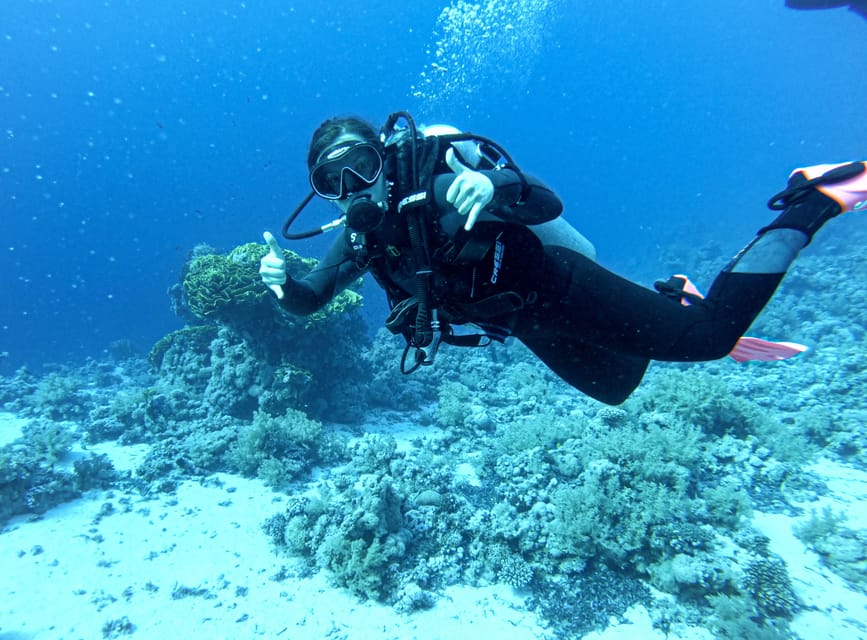 Tenerife - Discover Scuba Diving Experience with Instructor - Why Alcalá and Turtle Bay are a strong choice for your first underwater try