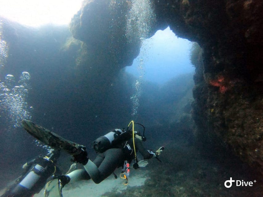 Tenerife - Discover Scuba Diving Experience with Instructor - Your underwater time: marine life, calm conditions, and what to watch