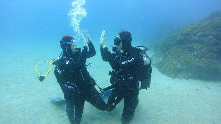 Tenerife: Discover Scuba Diving with Free Photos - Key moments worth planning around