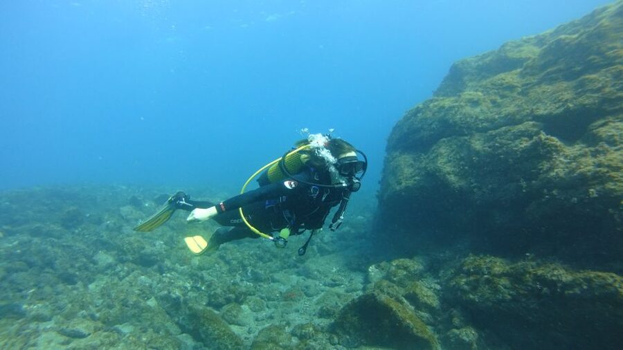 Tenerife: Discover Scuba Diving with Free Photos - Price and value: what you get for $105