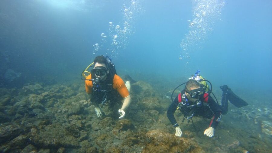 Tenerife: Discover Scuba Diving with Free Photos - Shallow practice first, then the fun part up to 12 meters