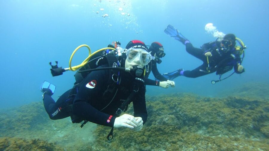 Tenerife: Discover Scuba Diving with Free Photos - Seasickness and sinus tips before you go