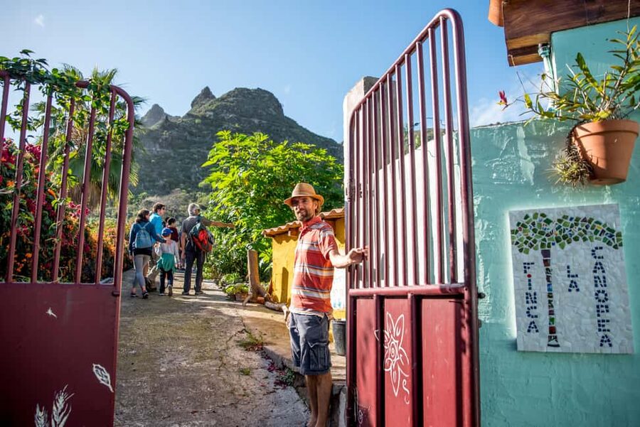 Tenerife: Discover the only vanilla cultivation in Canaries - Vanilla here: what you might see in bloom season
