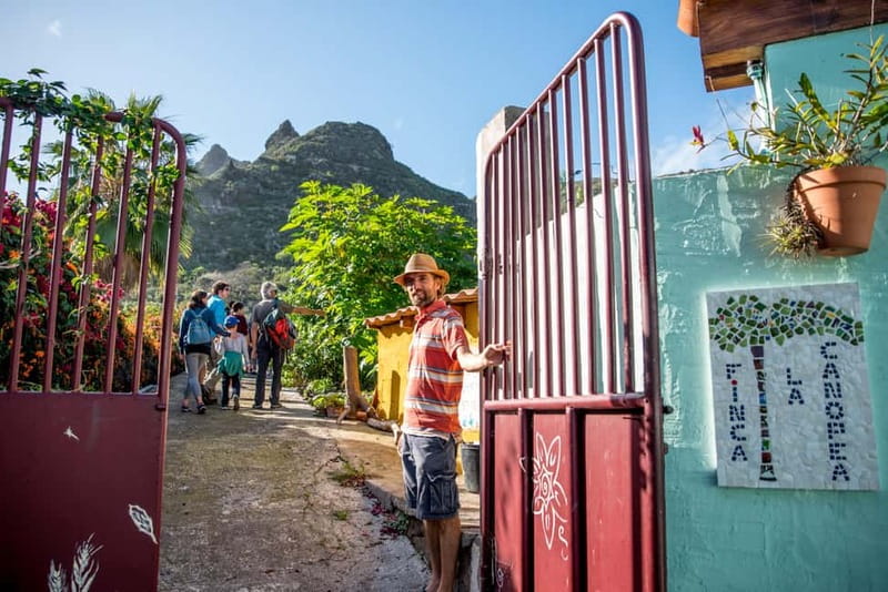 Tenerife: Discover the only vanilla cultivation in Canaries - What to bring (and what to expect from the vibe)