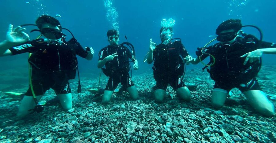 Tenerife : Diving License international in one day - Two underwater sessions near Abades: what you might see and how to enjoy it