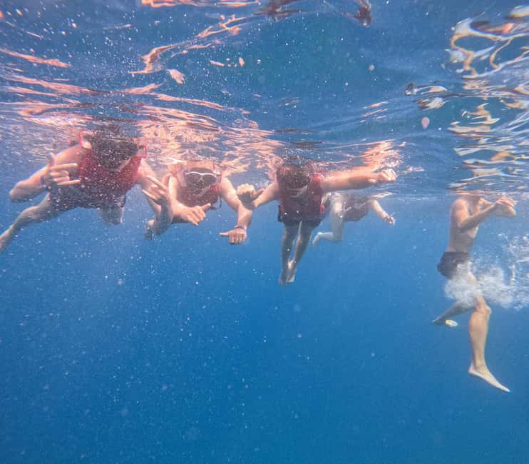 Tenerife: Eco Kayak & Snorkeling - Guides and group vibe: calm instruction tends to be the real luxury