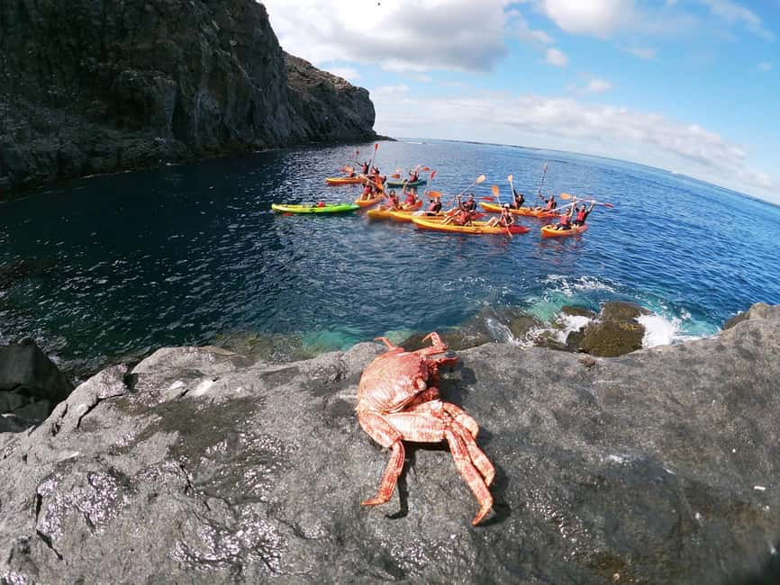 Tenerife: Eco Kayak & Snorkeling - Photo stop and viewpoint break: why the timing helps