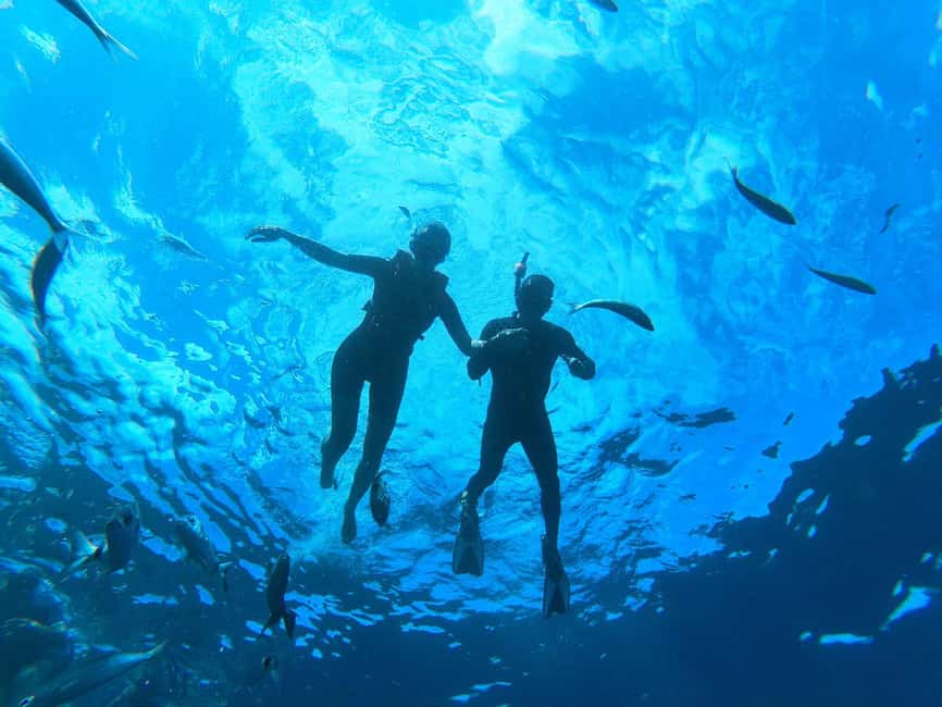 Tenerife: Eco Kayak & Snorkeling - Dolphins, turtles, and the honest odds