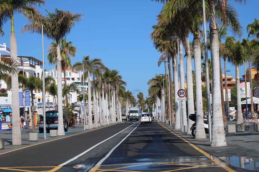 Tenerife: El Medano Self-Drive Slingshot Tour - Safety, insurance, and the convoy style of touring