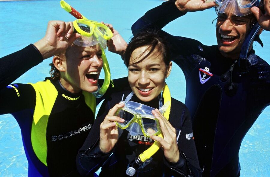 Tenerife Exclusive Snorkeling Trip with Marine Biologist - Return Boat Chances for Whales or Dolphins