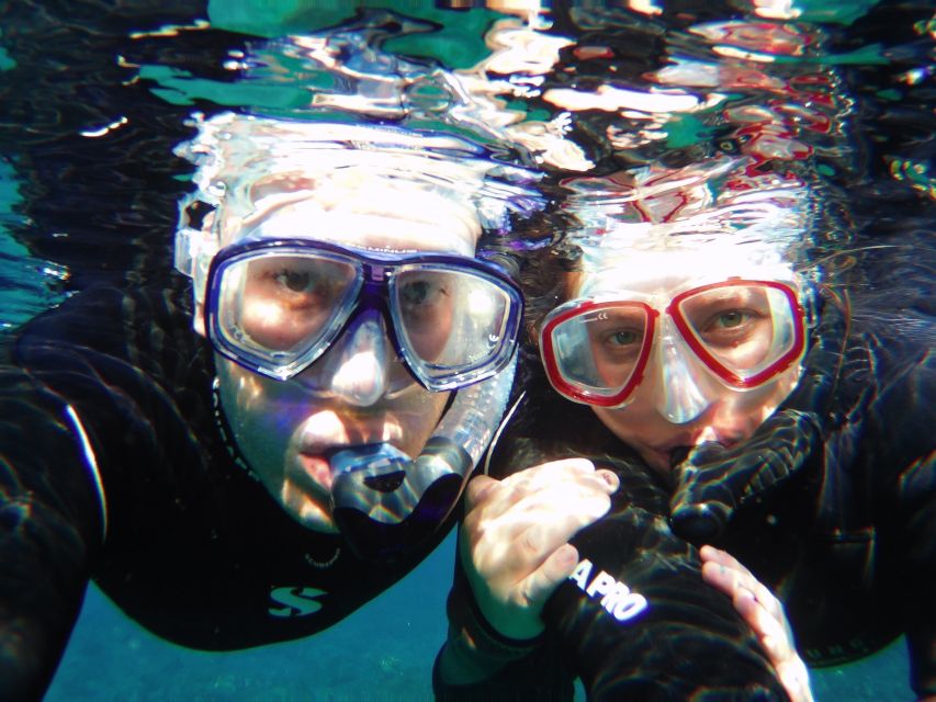 Tenerife Exclusive Snorkeling Trip with Marine Biologist - Price and Value: What $94 Buys in 3 Hours