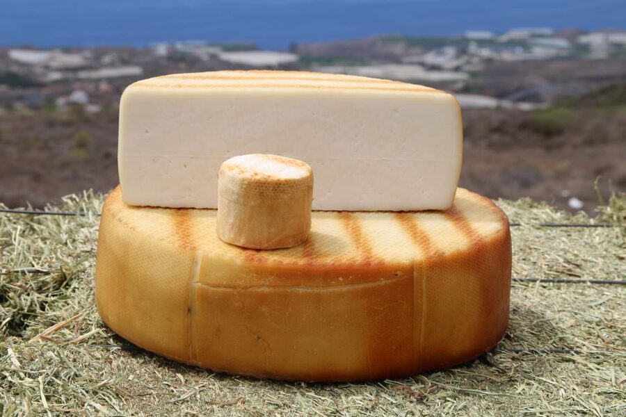 Tenerife - Farm Tour with Cheese Tasting - Quesería Montesdeoca: starting your Tenerife cheese day at the farm gates