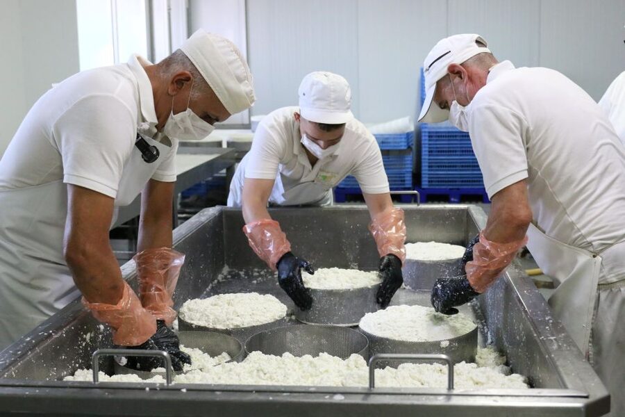 Tenerife - Farm Tour with Cheese Tasting - Inside the cheese factory: seeing hand-crafting and aging