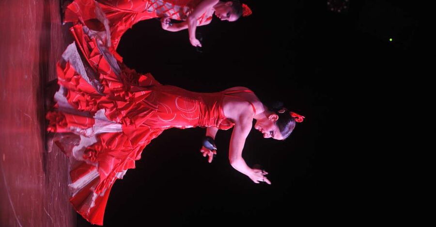 Tenerife: Flamenco Performance at Teatro Coliseo - Teatro Coliseo (Sala Coliseo) in Tenerife: the meeting point that keeps the night easy