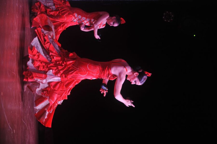 Tenerife: Flamenco Performance at Teatro Coliseo - Getting there and getting home: remote venue habits you should plan for