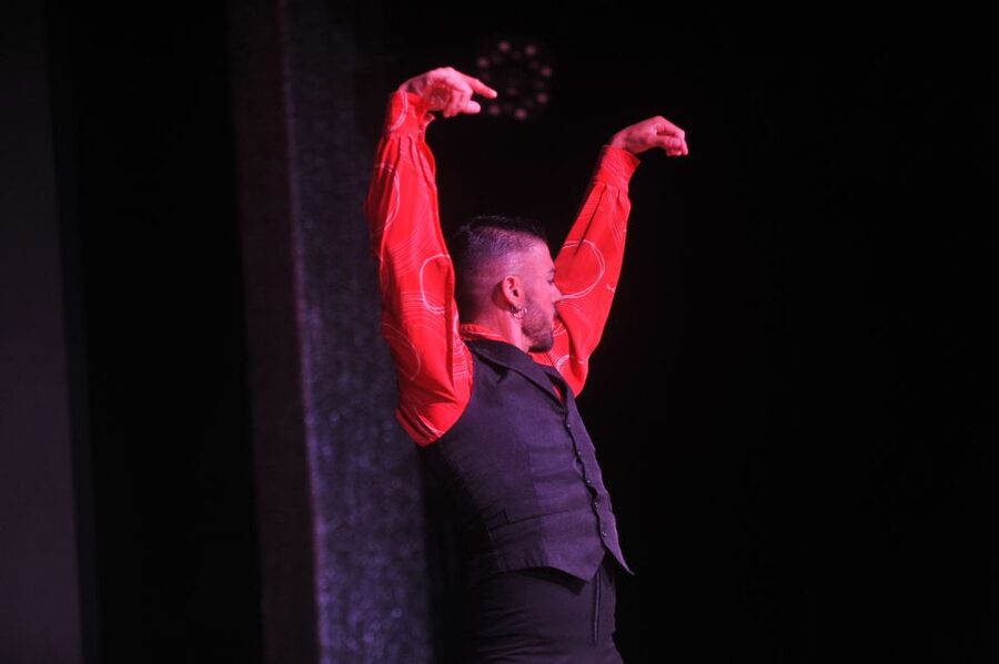 Tenerife: Flamenco Performance at Teatro Coliseo - Can you enjoy it without fluent Spanish?