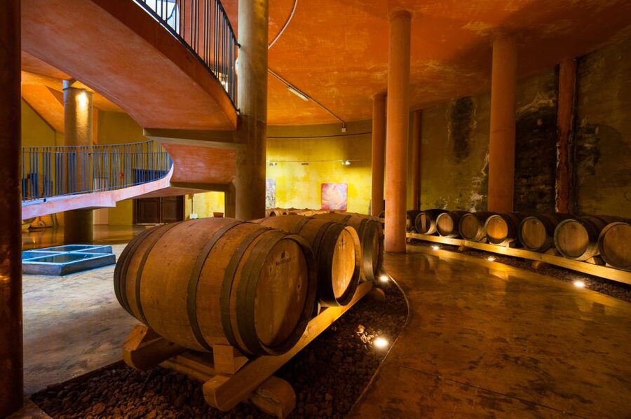 Tenerife: Full-Day Gastronomy and Wine Tour - Getting there: south pickup, coach comfort, and real-world timing