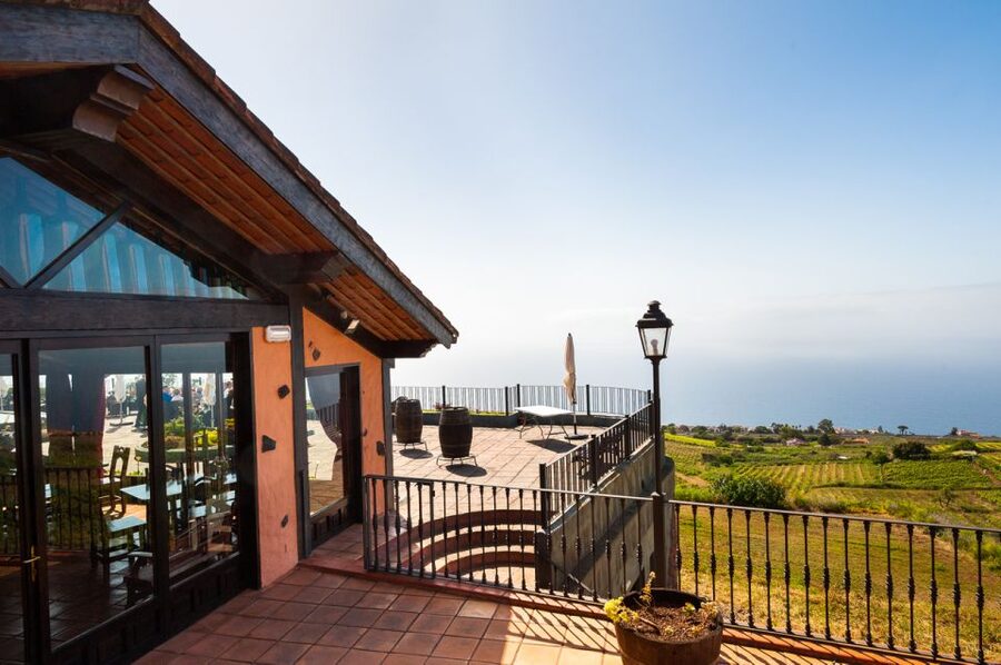 Tenerife: Full-Day Gastronomy and Wine Tour - Who this tour suits best