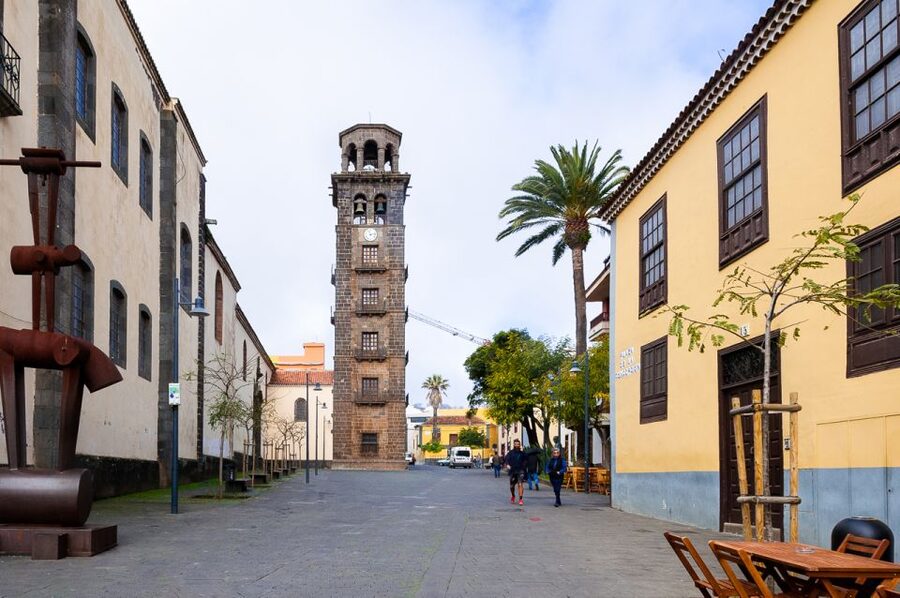 Tenerife: Full-Day Gastronomy and Wine Tour - The wines: what you’ll get, and what to ask your guide