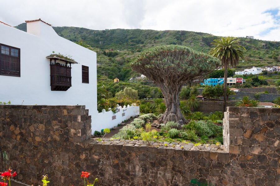 Tenerife: Full-Day Guided Island Tour - Why this full-day Tenerife loop makes sense
