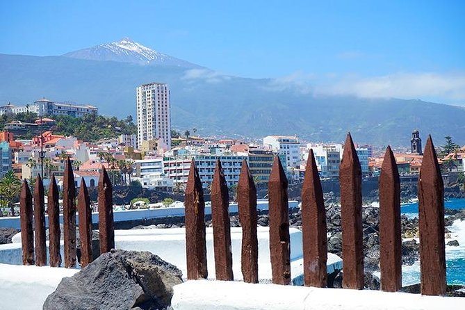 Tenerife Full Island Tour - Los Gigantes Viewpoint: 15 Minutes of Pure Drama