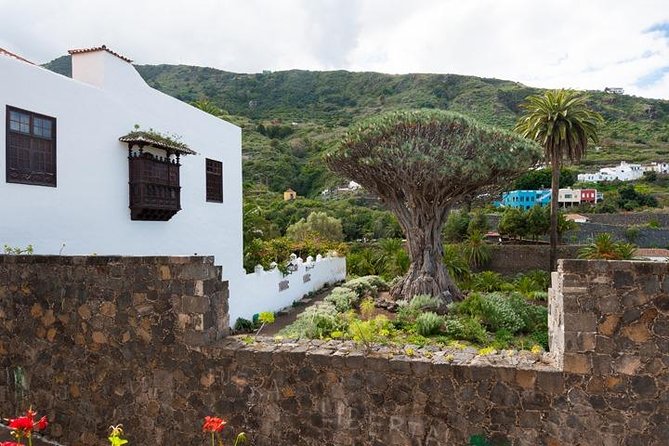 Tenerife Full Island Tour - Puerto de la Cruz Free Time: Lunch Without the Script