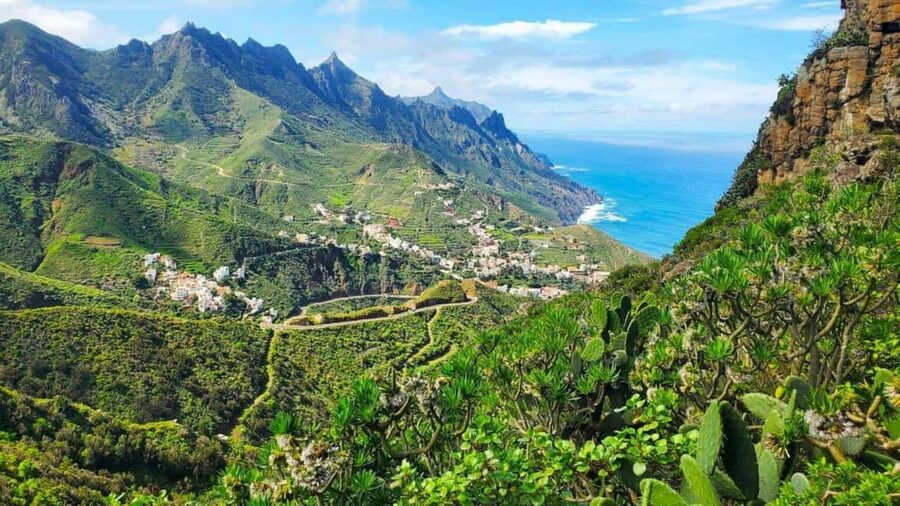 Tenerife: Full Private Island Tour, with departures from the south and north - Icod de los Vinos and Drago Milenario: the slow, striking side of the island