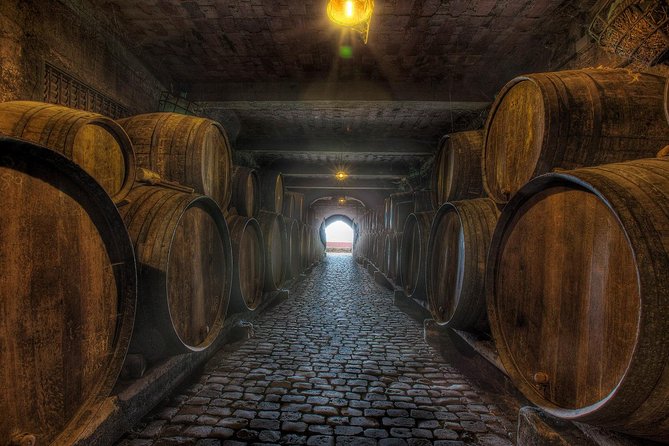 Tenerife Gastronomy Tour with Two Winery Visits and 4-Course Lunch - How the tastings actually work: cheese, pours, and expectations