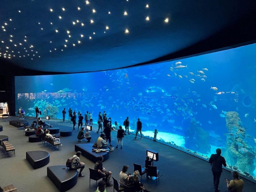 Tenerife: Gran Canaria Full-Day Guided Tour with Aquarium - Vegueta in Las Palmas: the old-town walk that ties the day together