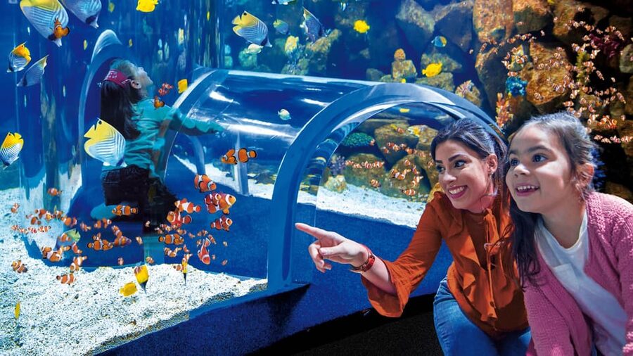 Tenerife: Gran Canaria Full-Day Guided Tour with Aquarium - Should you book the Tenerife to Gran Canaria aquarium and rum tour?