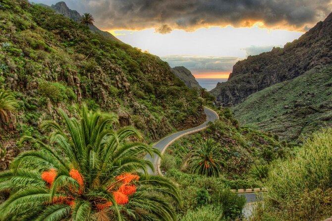 Tenerife Grand Tour: including Teide National Park and Masca - Key points worth knowing