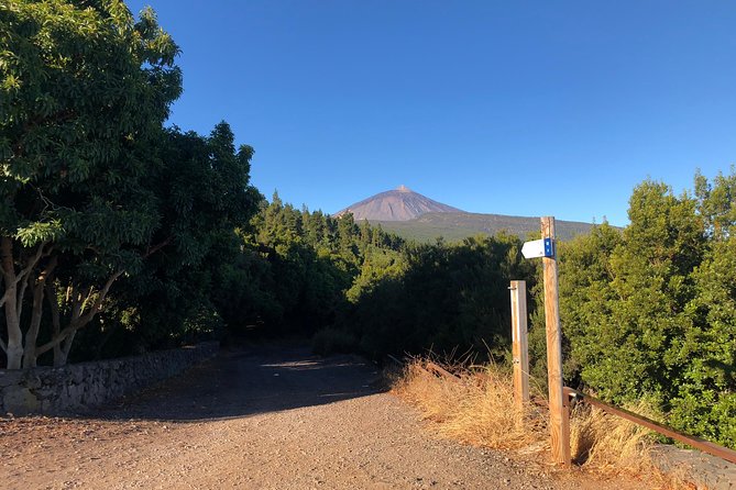 Tenerife Grand Tour: including Teide National Park and Masca - Teide National Park in 30 minutes: what you can actually do