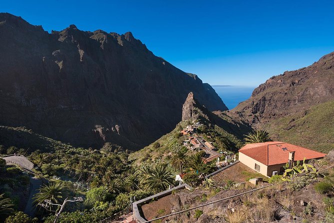 Tenerife Grand Tour: including Teide National Park and Masca - Price and logistics: why $66 can feel like a bargain