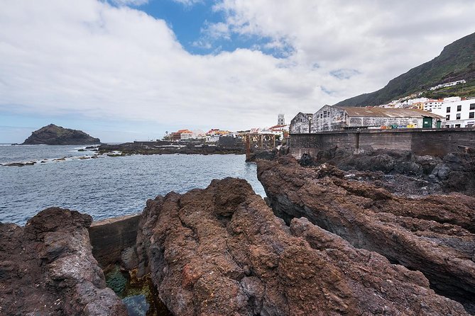 Tenerife Grand Tour: including Teide National Park and Masca - Guides and drivers make the day: the human factor