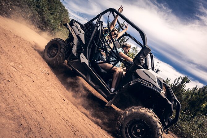 Tenerife: Guided Buggy Discovery Tour around Mount Teide - Key points before you go