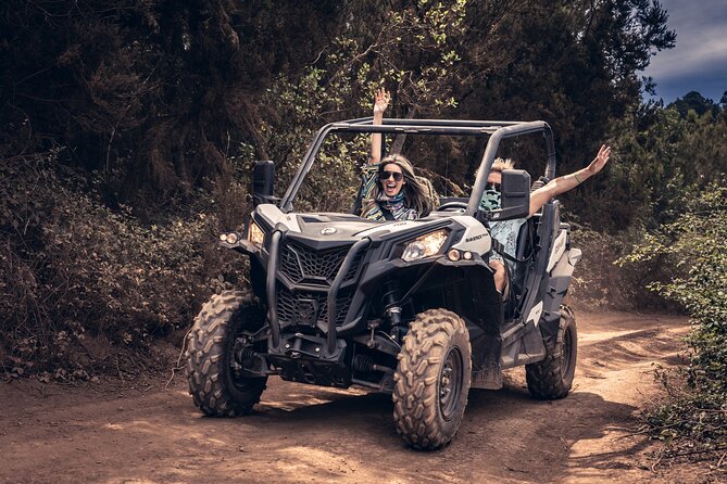 Tenerife: Guided Buggy Discovery Tour around Mount Teide - Tamaimo and Arguayo: the calmer sights before the dirt