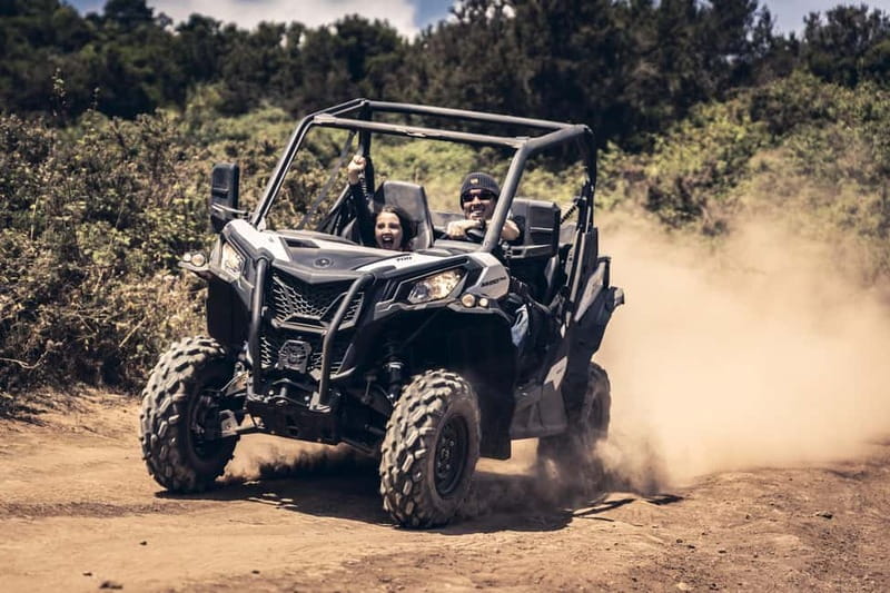 Tenerife: Guided Buggy Discovery Tour around Mount Teide - Camello center break: snacks and camel rides